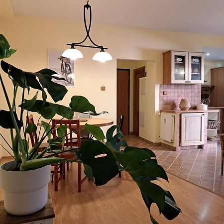 Home In The Heart Of The City Bratislava Exterior photo