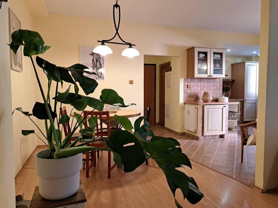 Home In The Heart Of The City Bratislava Exterior photo